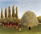 The Pasture